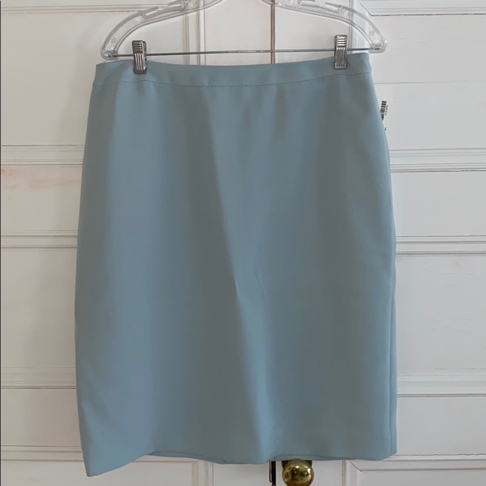 NWT Ellen Tracy A-line Skirt